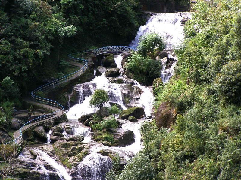 Darjeeling tour packages from Mumbai