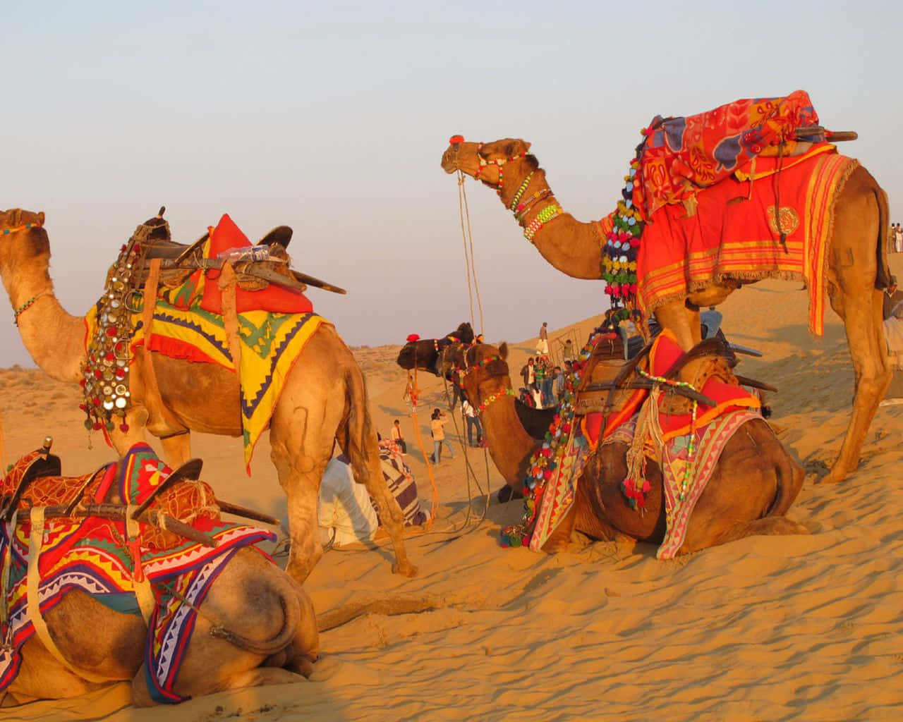 Rajasthan Group Tour