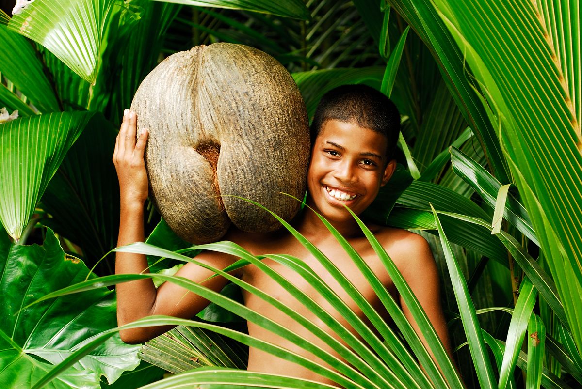 Mesmerizing Seychelles