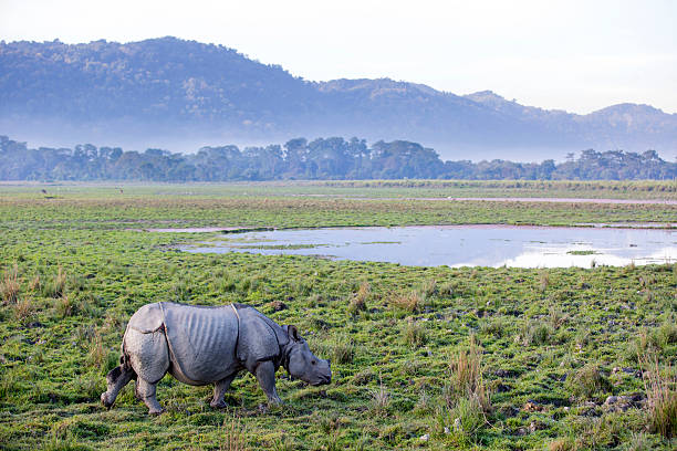 Assam Meghalaya GIT 2025
