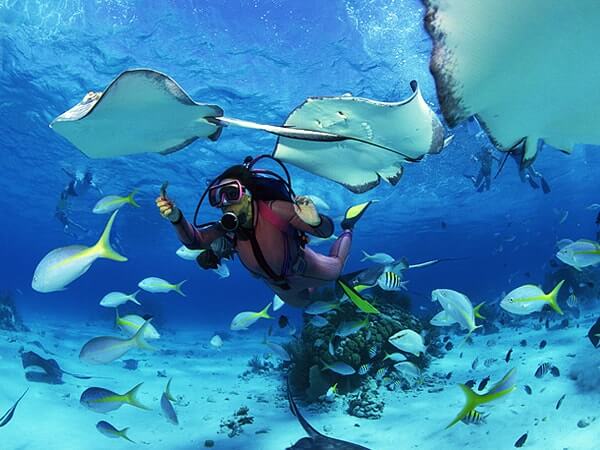 SEYCHELLES
