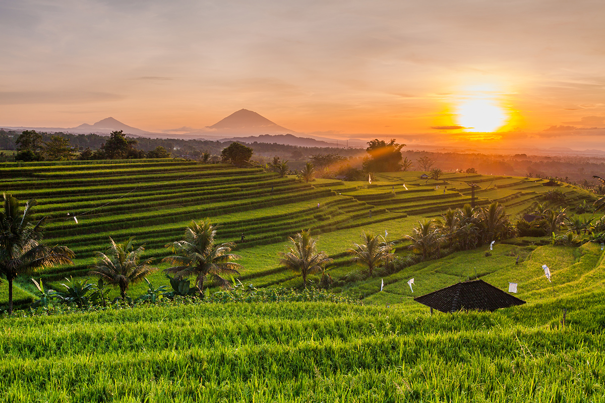 Blissful Bali Group Tour