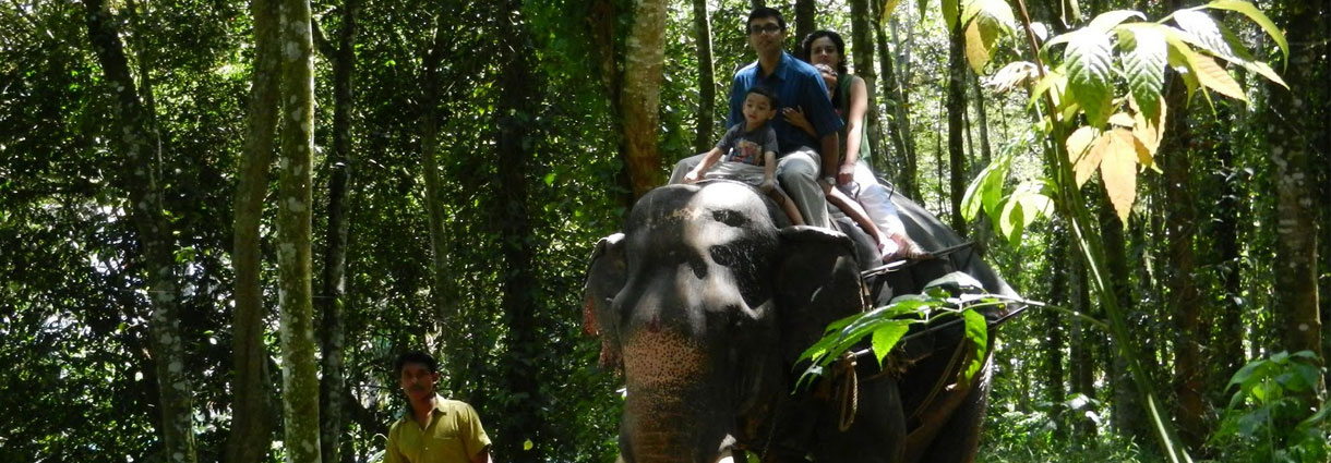 Kerala Essence Expedition 