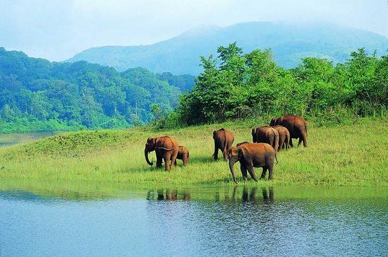 Kerala GIT 2025