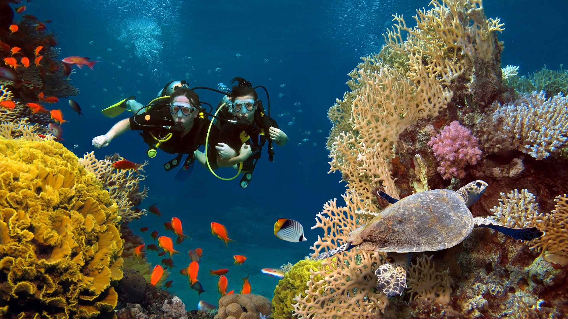 Andaman GIT 2024