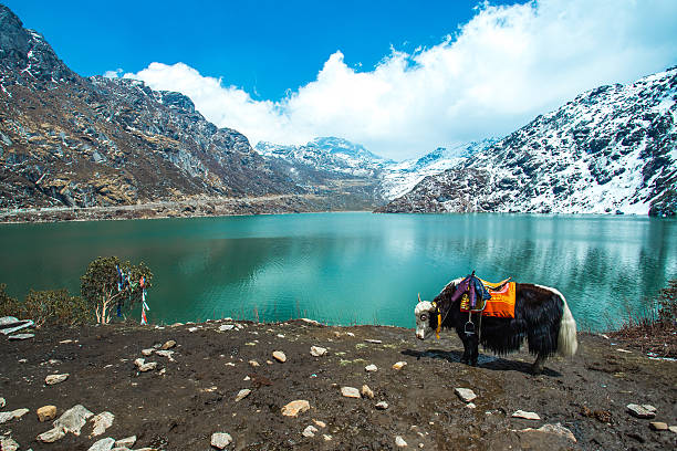Sikkim Darjeeling GIT 2025